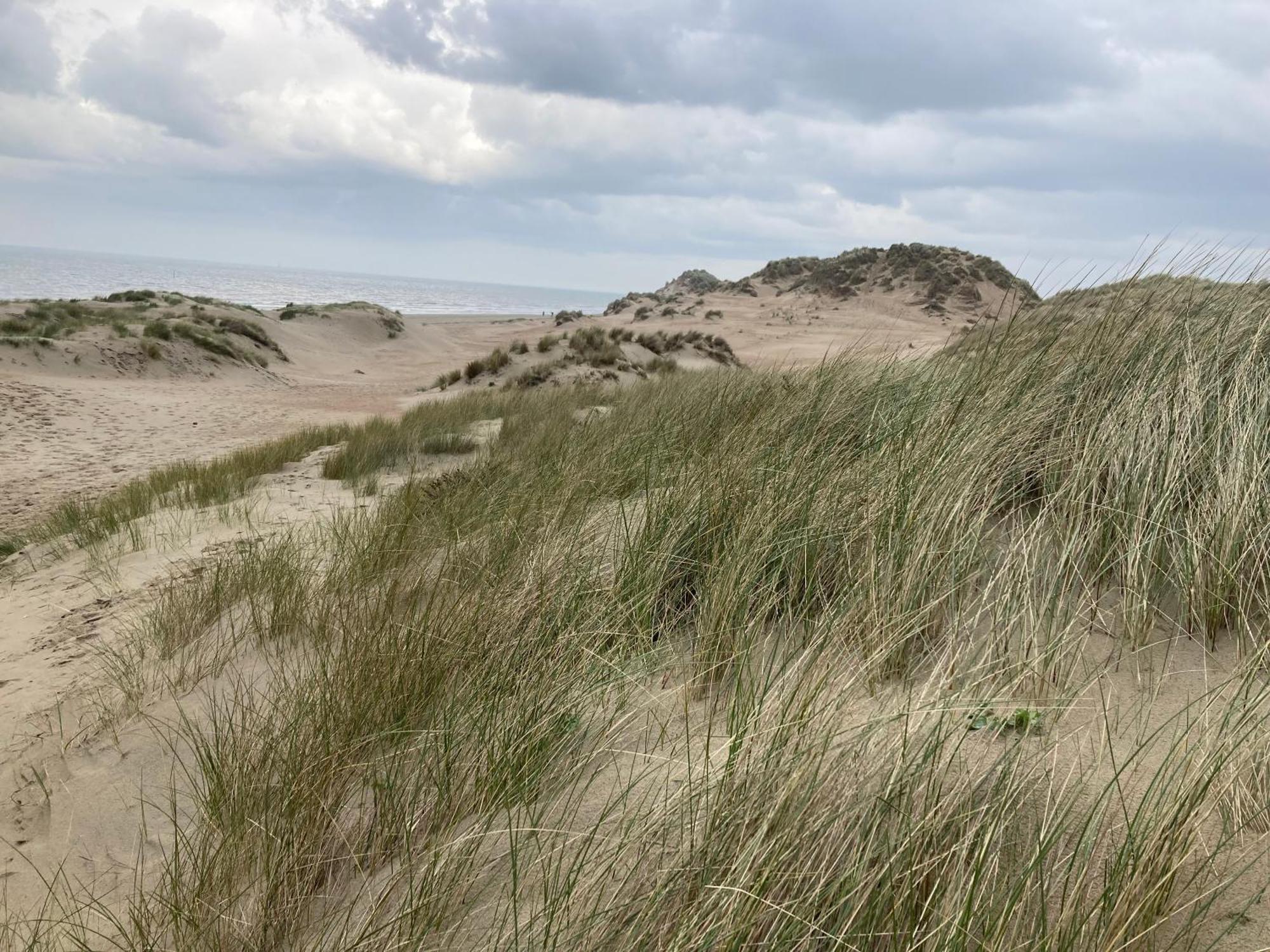 Villa Terduinen Oostduinkerke Esterno foto